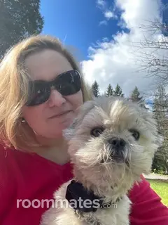 Roommate looking Redmond, WA, $1500