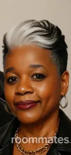 Roommate looking Madison Heights, MI, $800