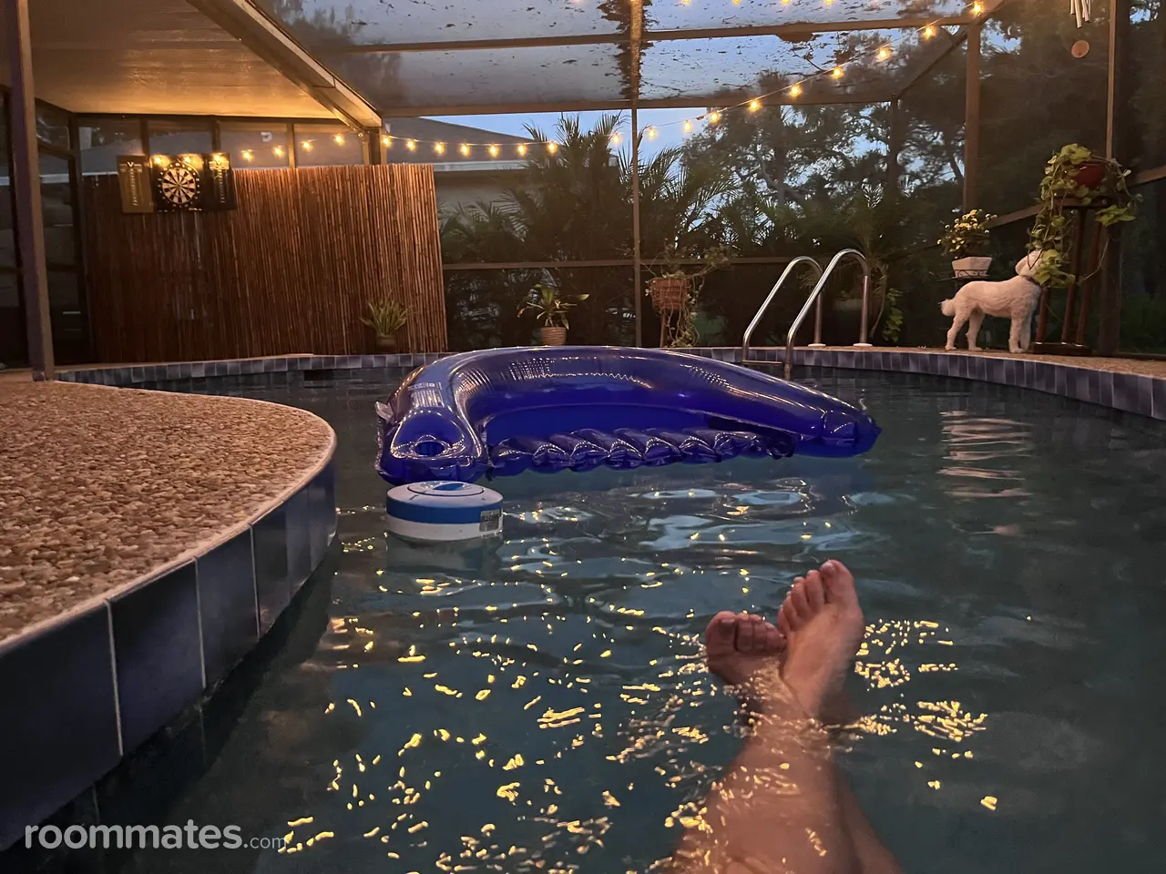 Profile photo 4 of 11