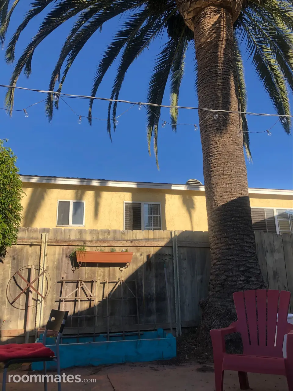 Profile photo 7 of 11