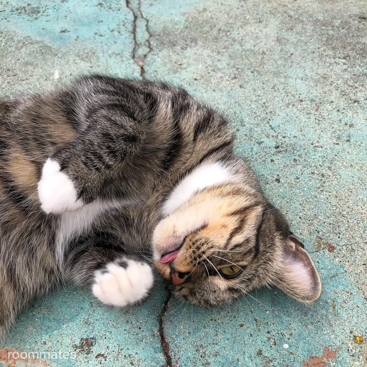 Profile photo 2 of 11