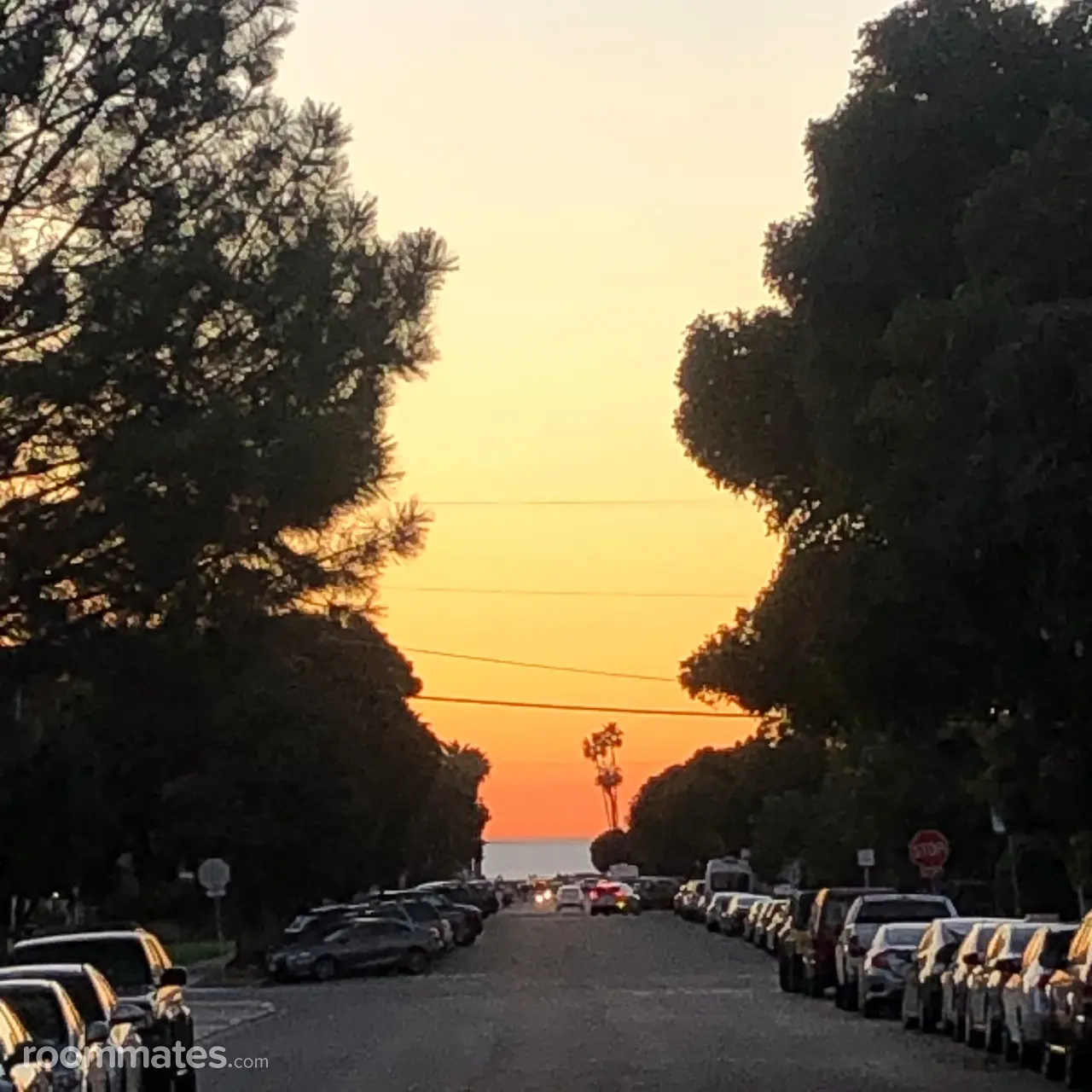 Profile photo 4 of 11