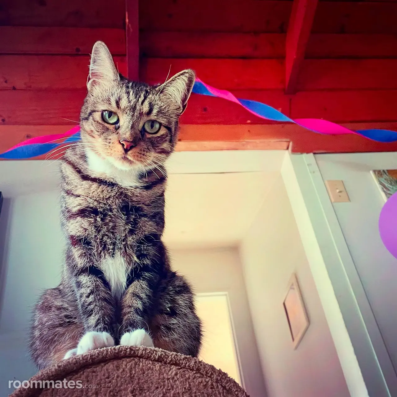 Profile photo 10 of 11