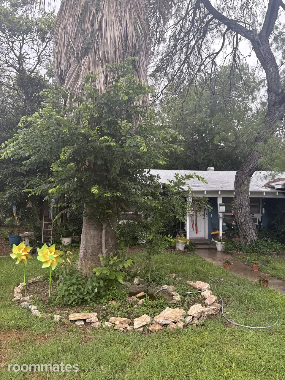 Profile photo 5 of 7