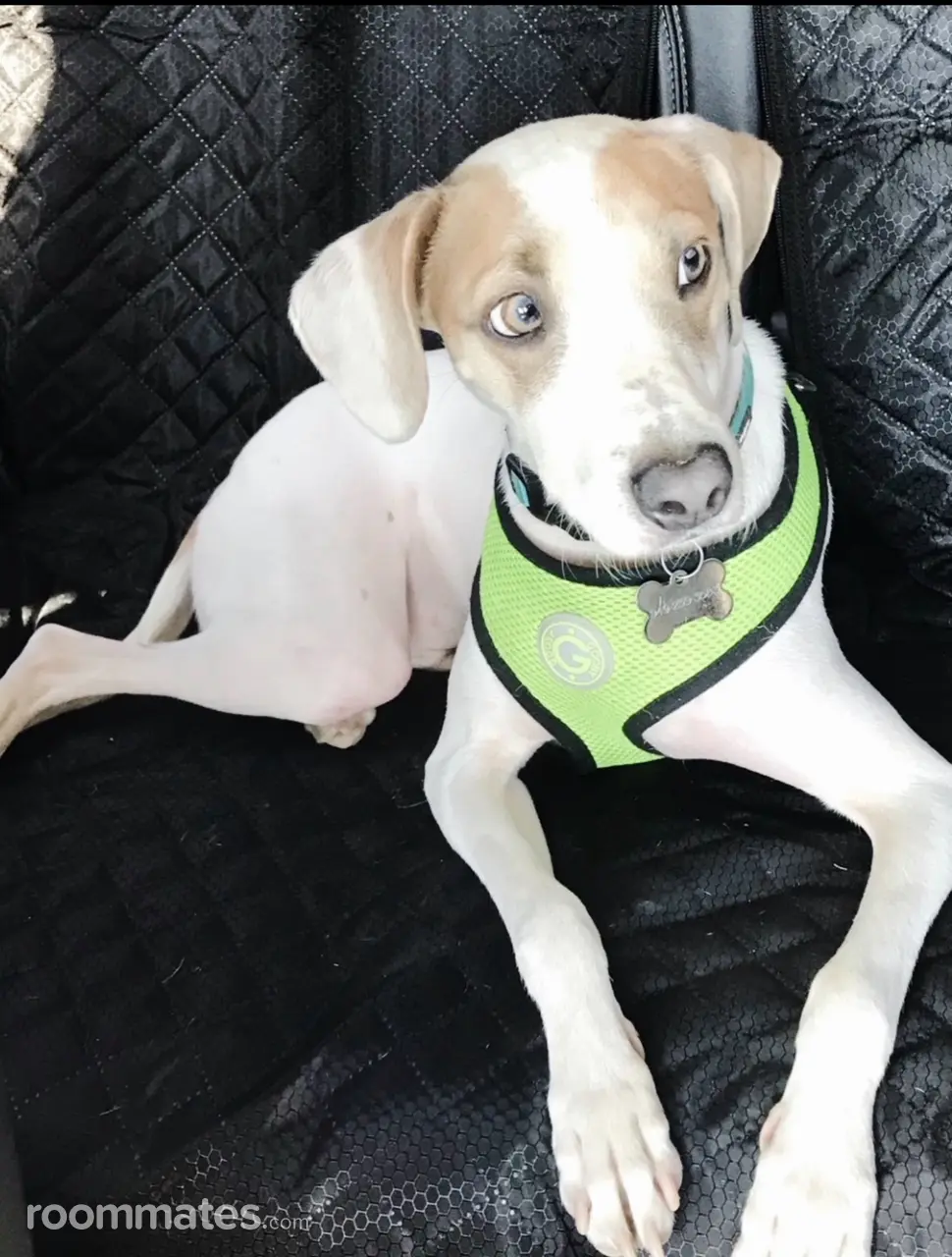 Profile photo 9 of 9