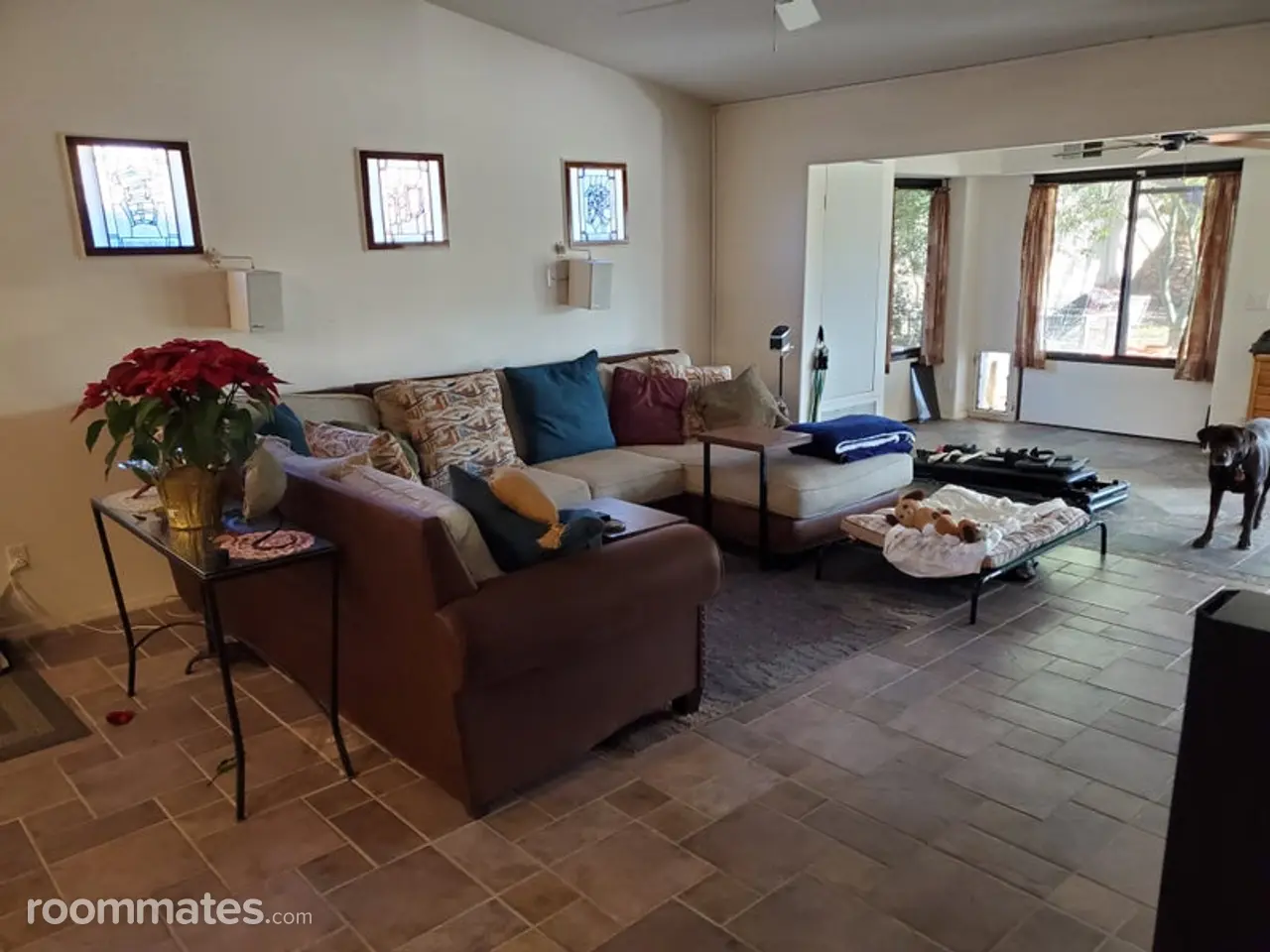 Profile photo 9 of 11