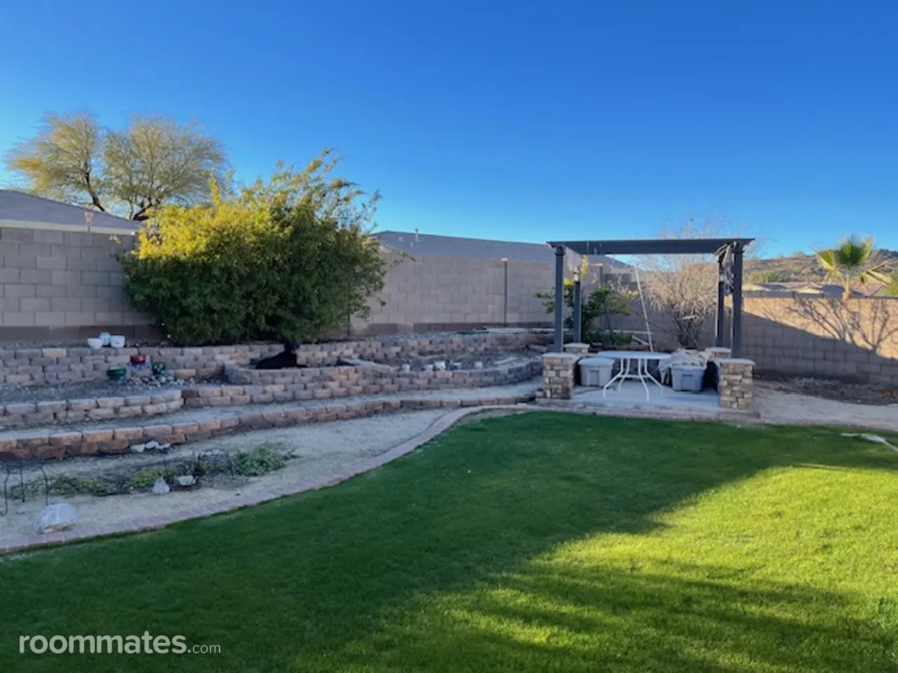 Profile photo 7 of 11