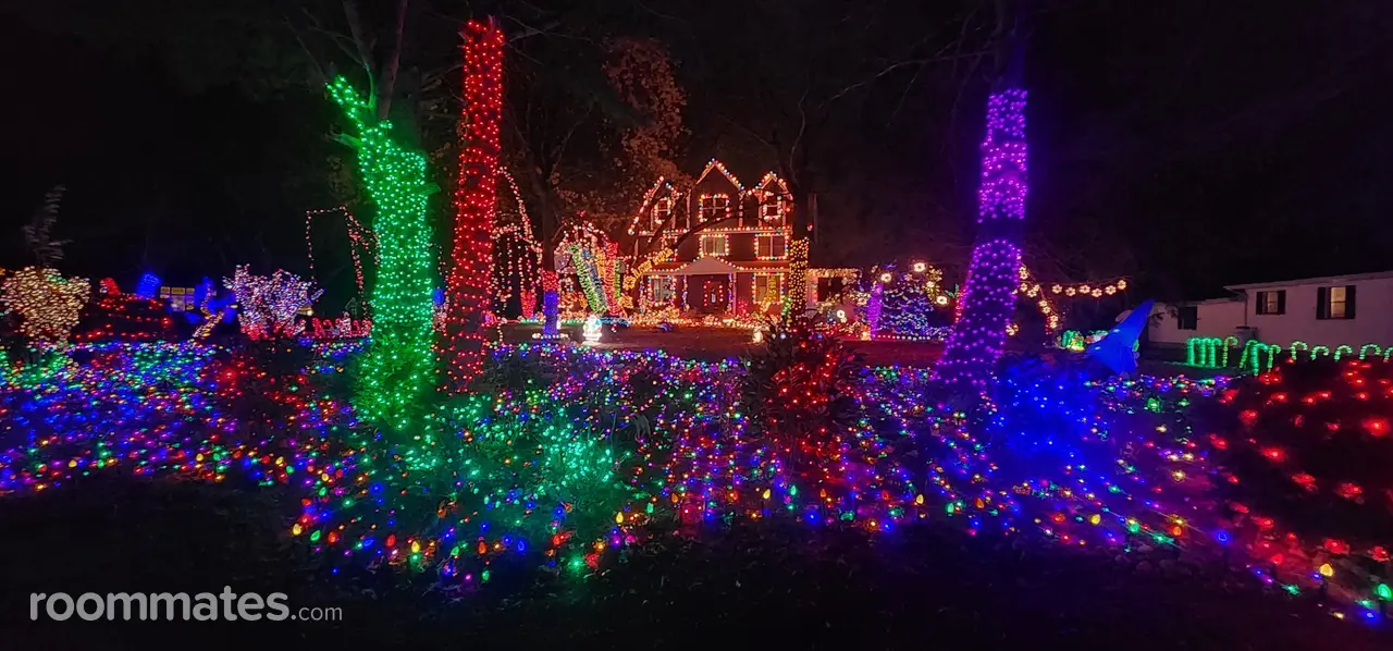 Profile photo 2 of 2