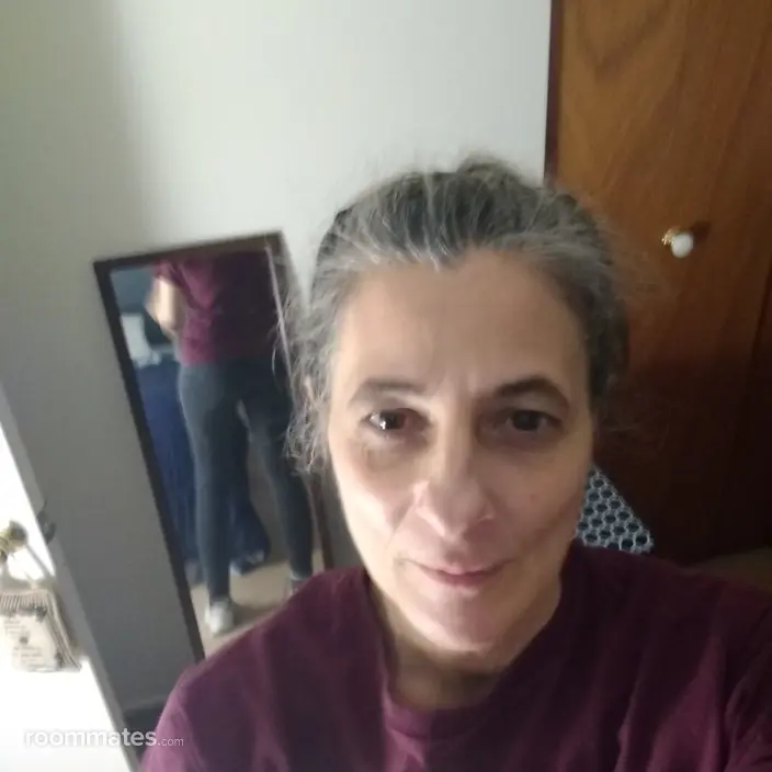 Roommate looking Lockport, IL, $1000