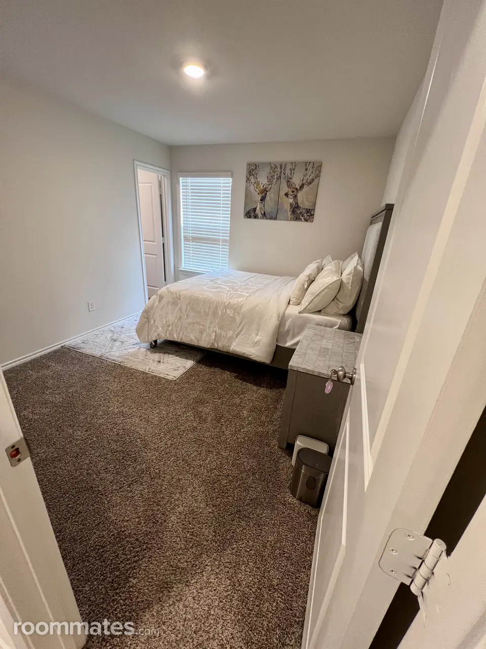 Profile photo 2 of 8