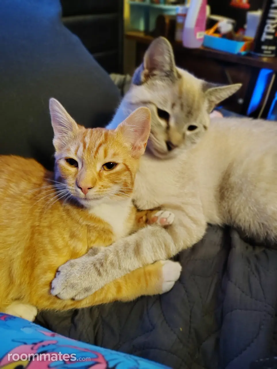 Profile photo 8 of 9