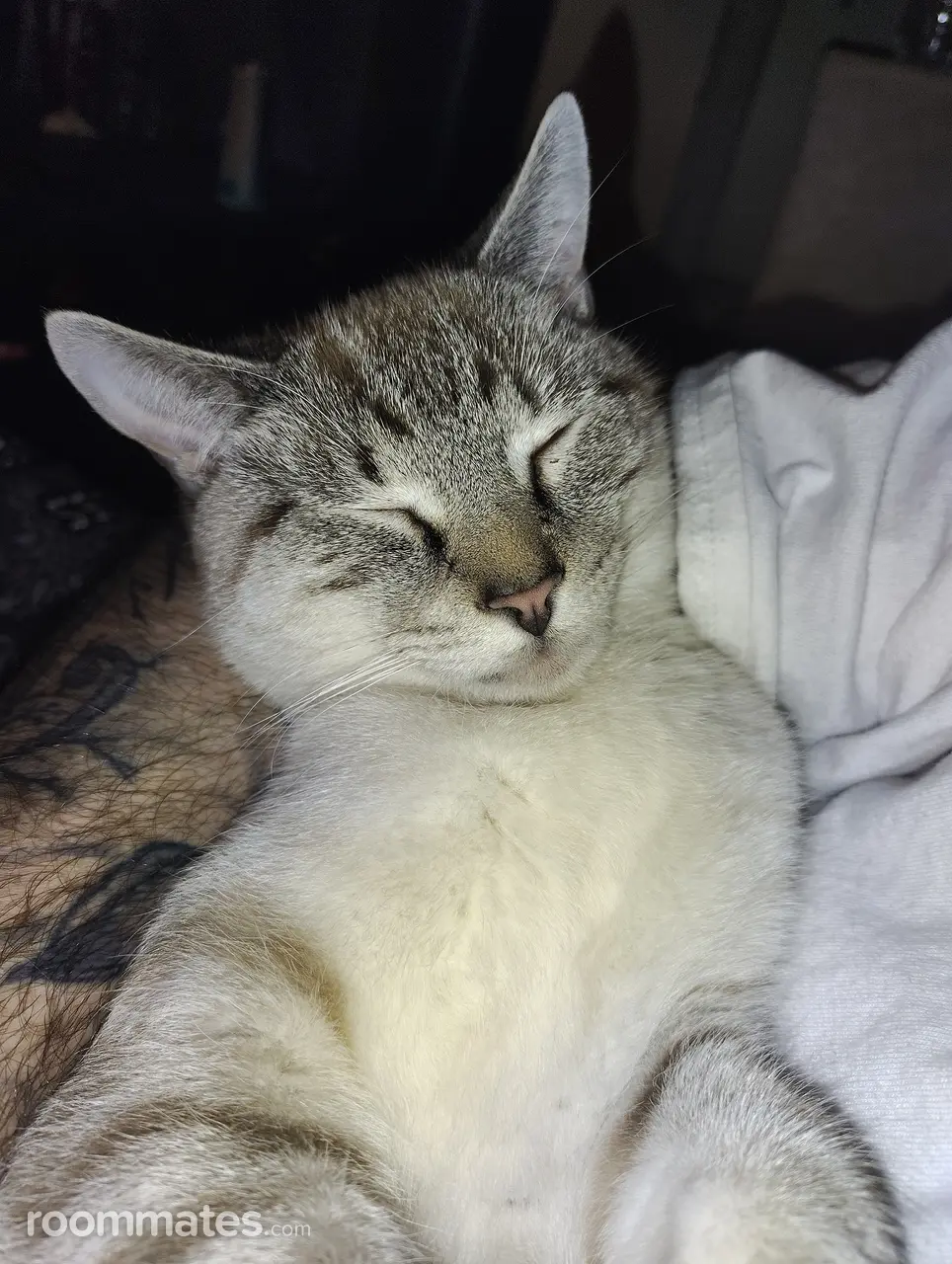 Profile photo 5 of 9