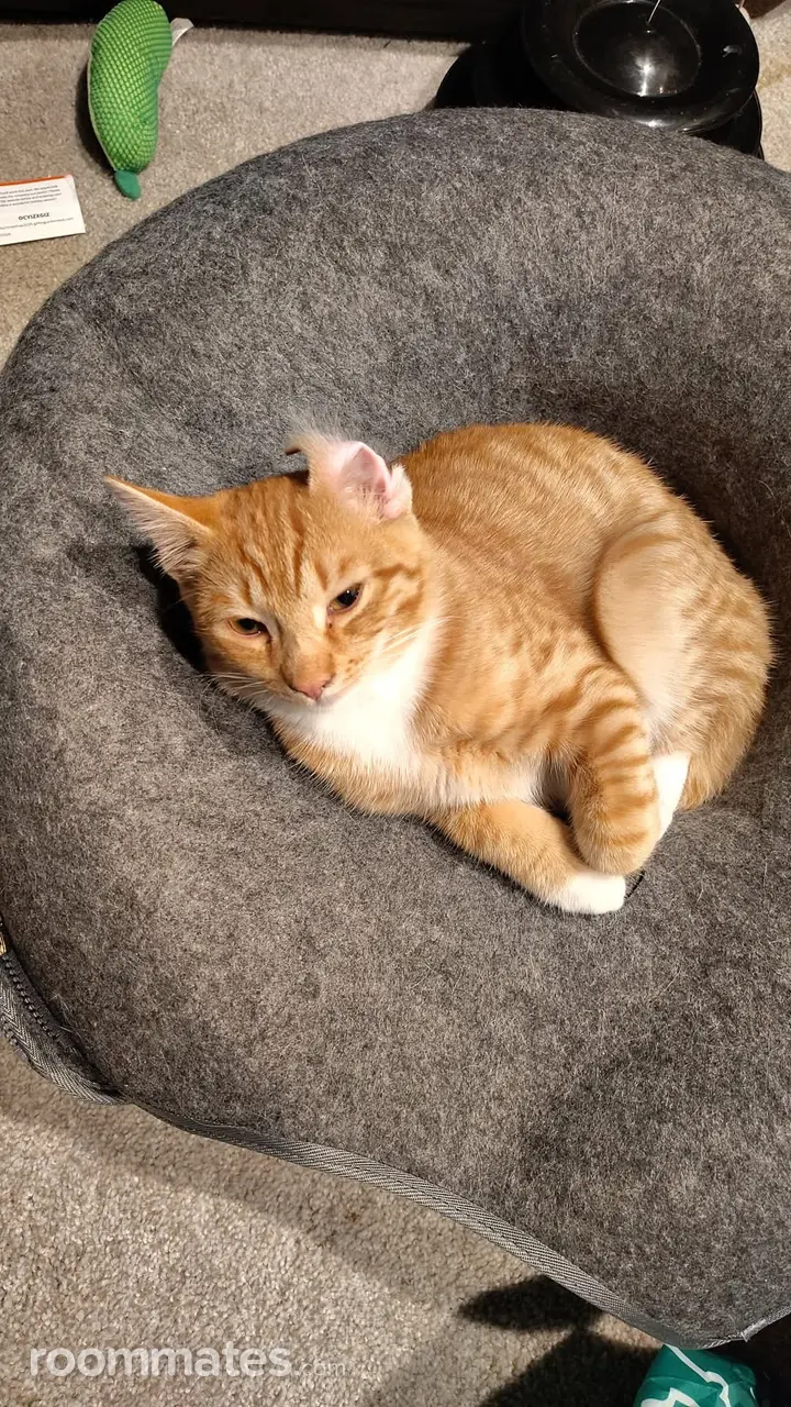 Profile photo 6 of 9