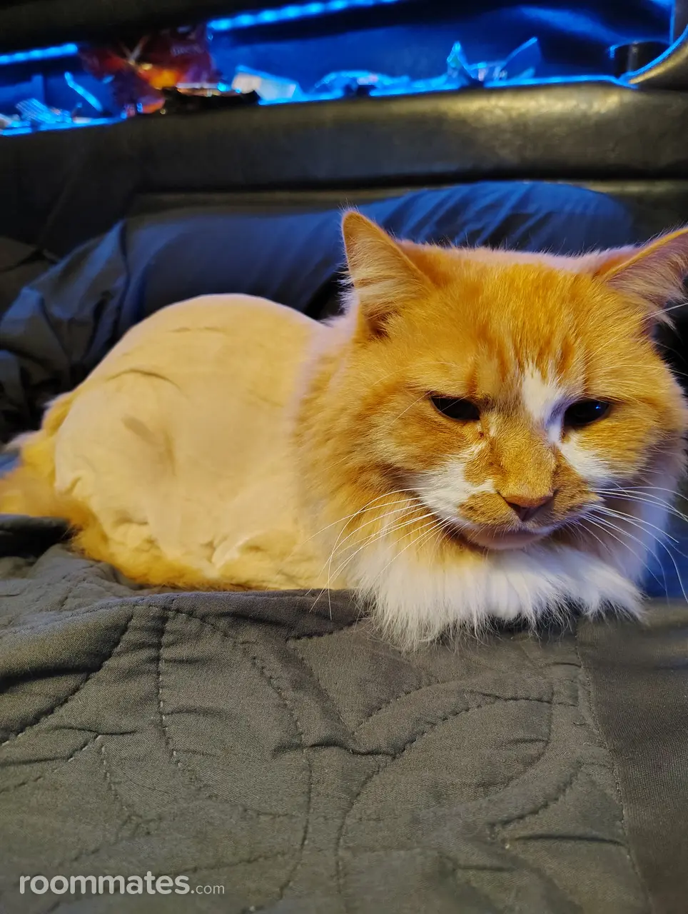 Profile photo 7 of 9