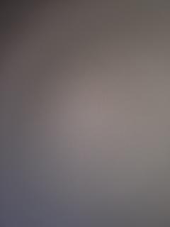 Roommate looking Charlotte, NC, $1600