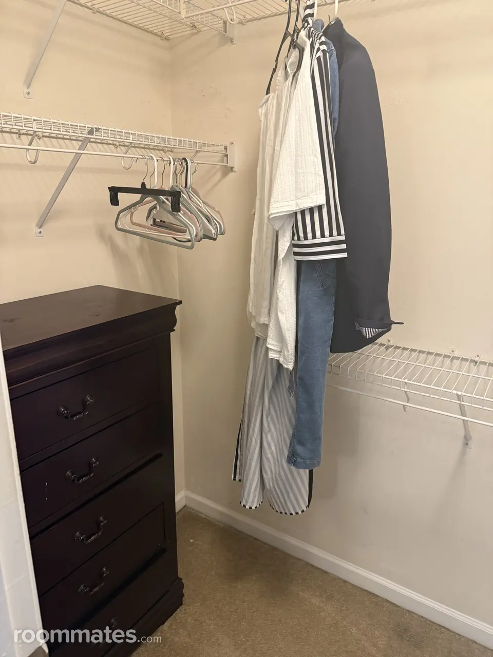 Profile photo 5 of 12