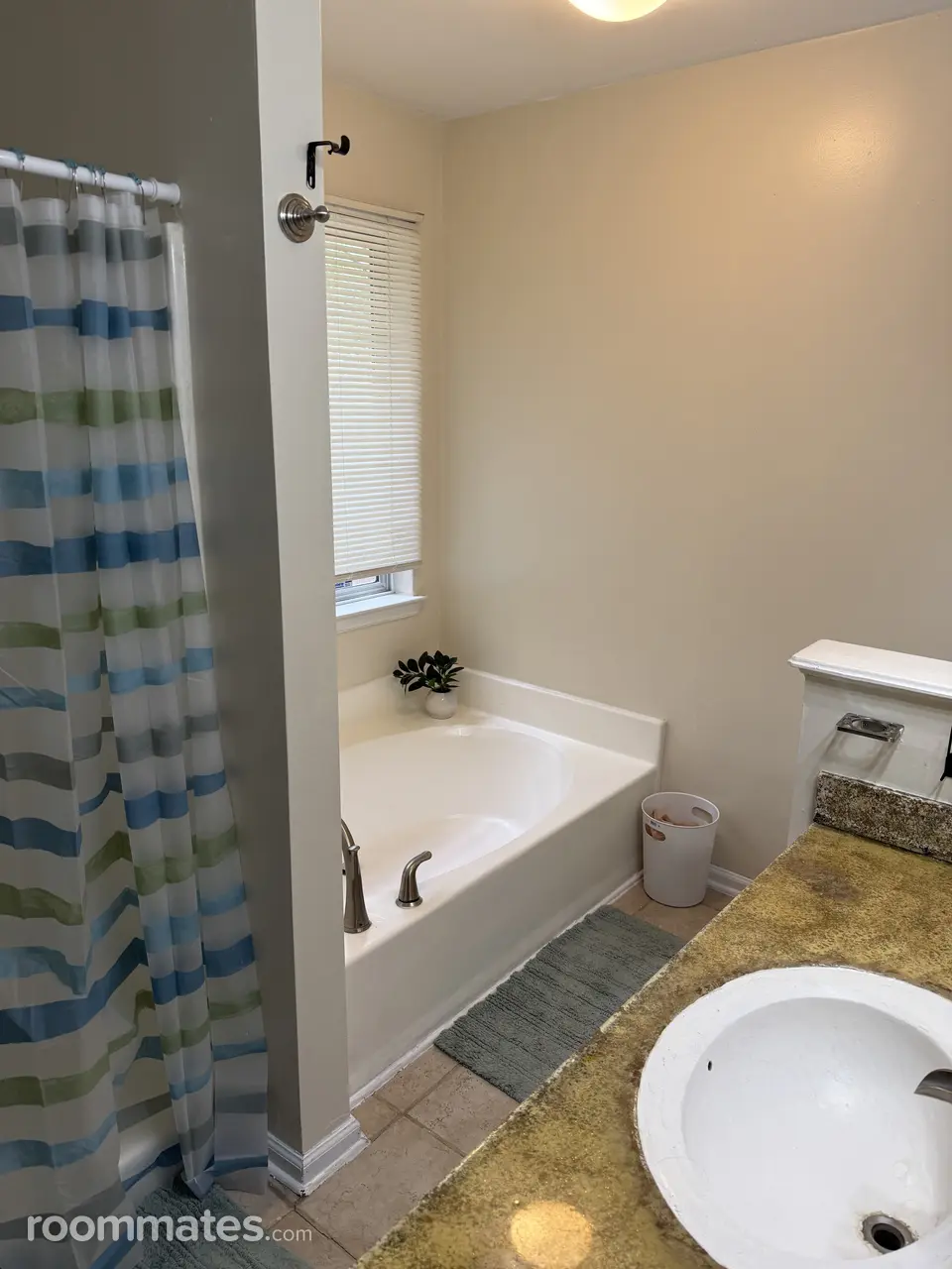 Profile photo 1 of 12