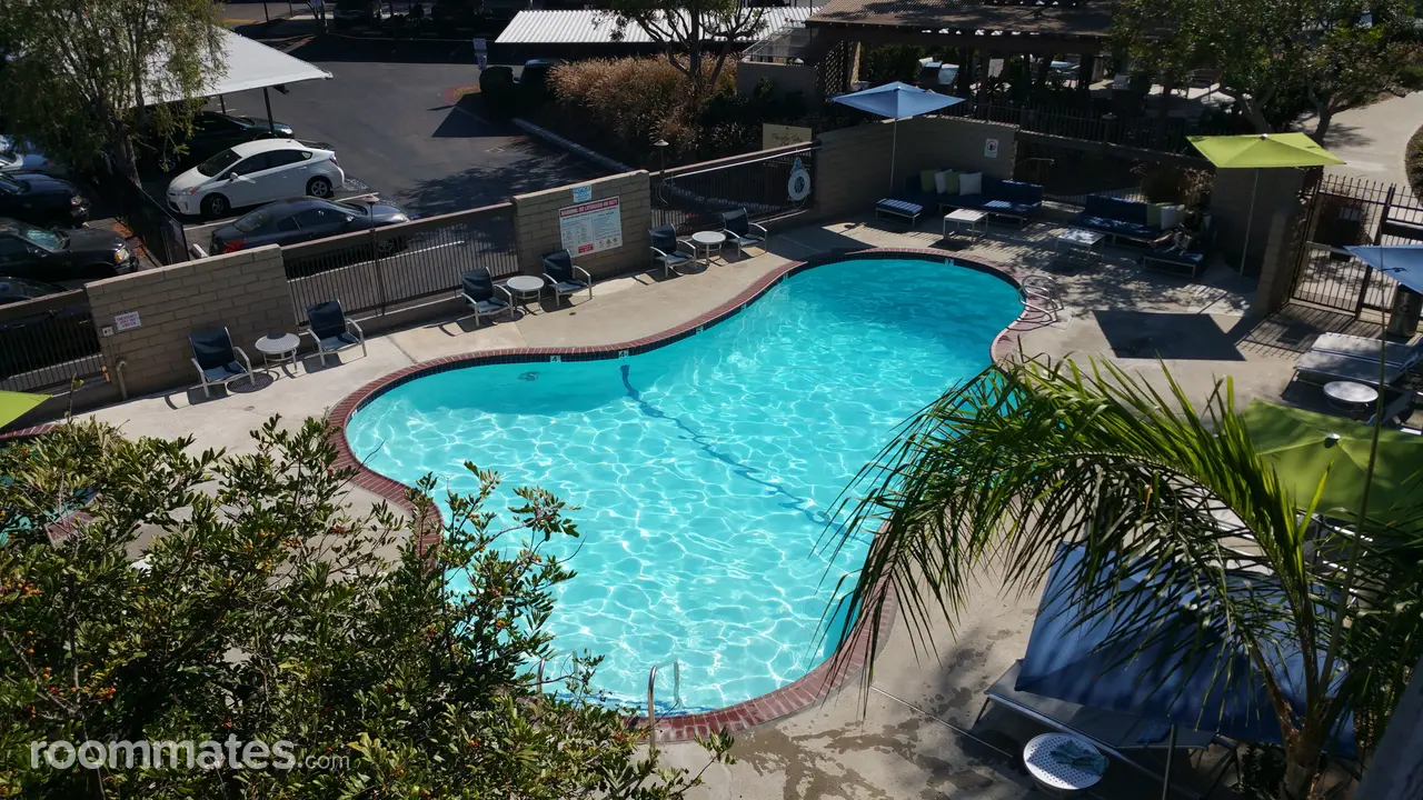 Profile photo 2 of 12