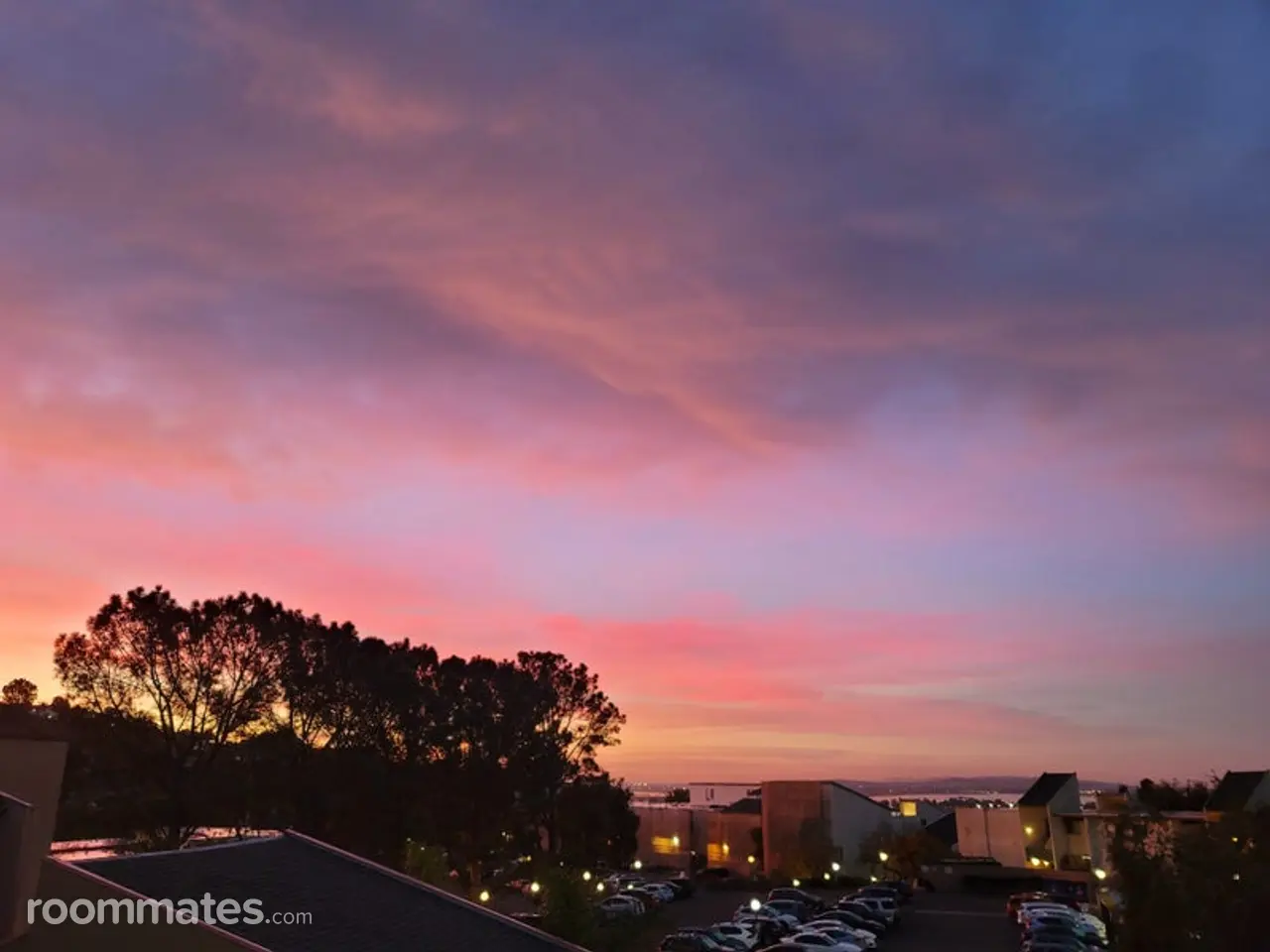 Profile photo 1 of 12