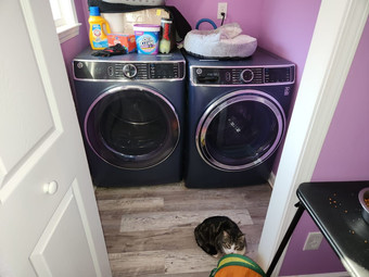 Room for rent in Morrow, GA $800, house