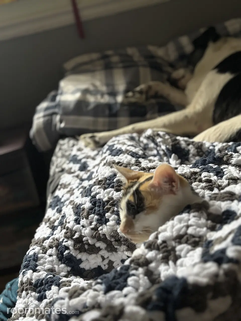 Profile photo 9 of 10