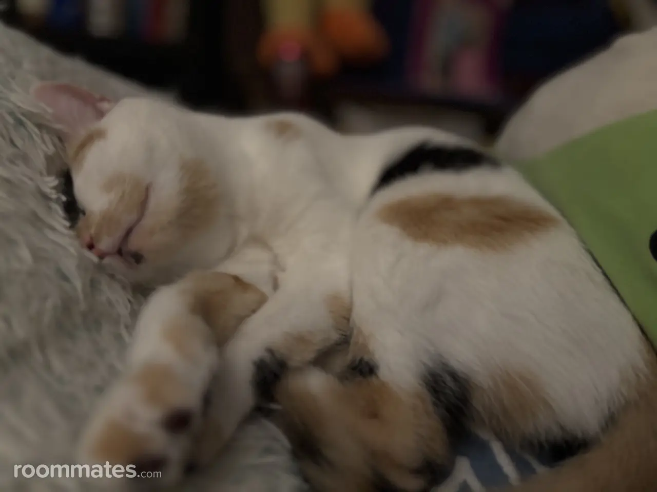 Profile photo 8 of 10