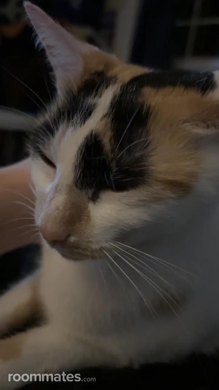 Profile photo 4 of 10