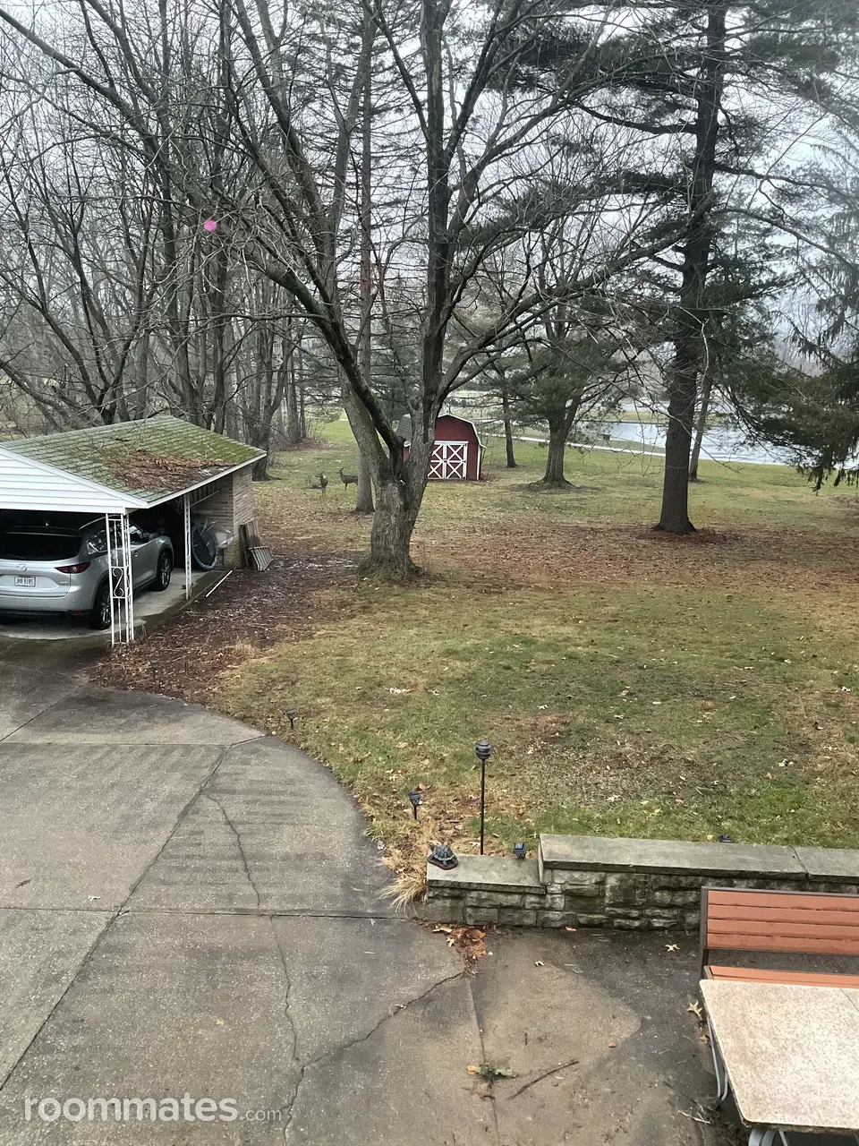 Profile photo 5 of 9