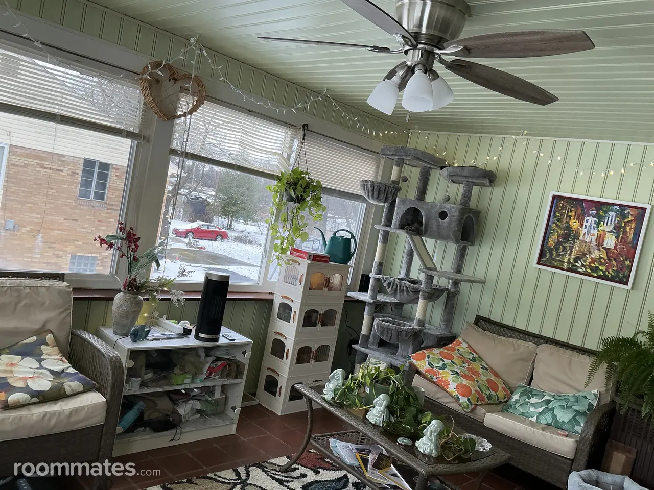 Profile photo 8 of 9