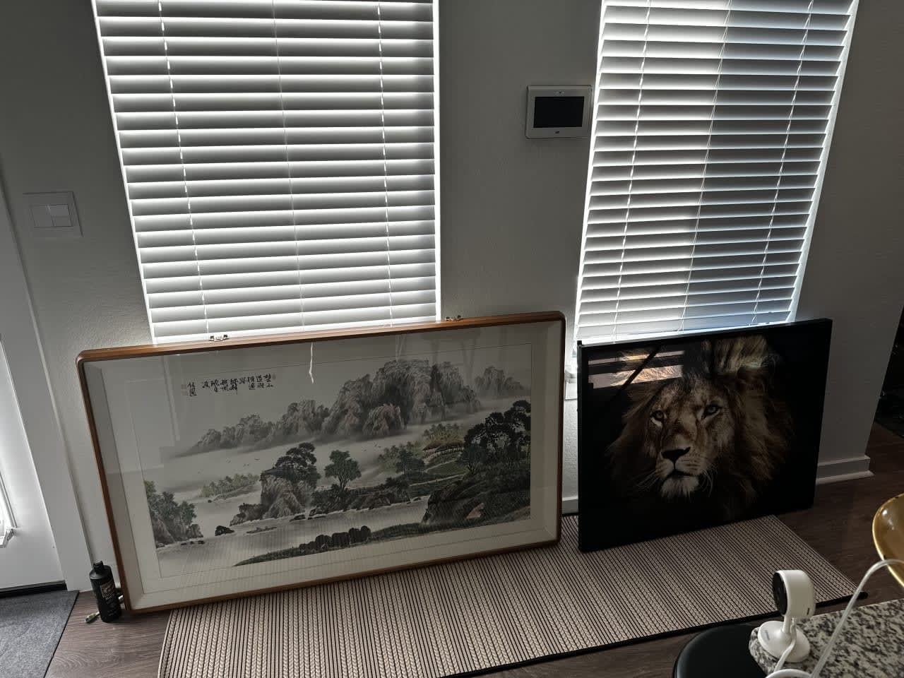 Profile photo 12 of 13