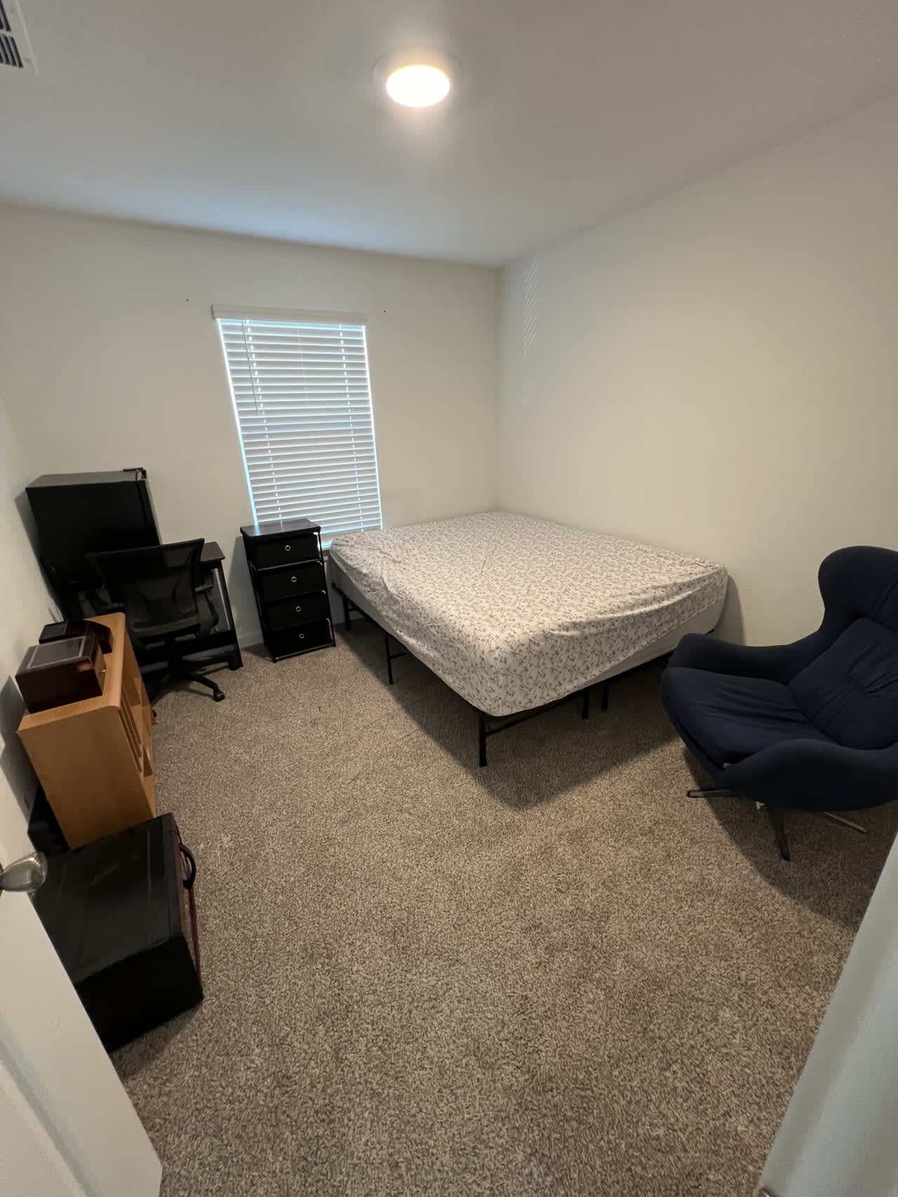 Profile photo 11 of 13