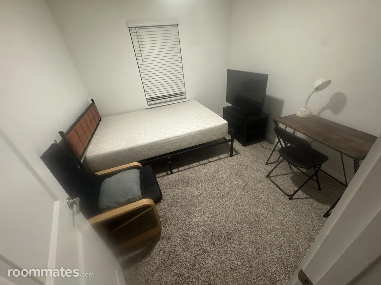 Profile photo 1 of 13