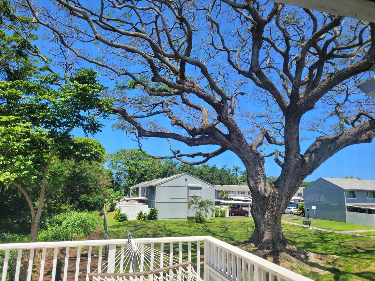 Profile photo 7 of 11