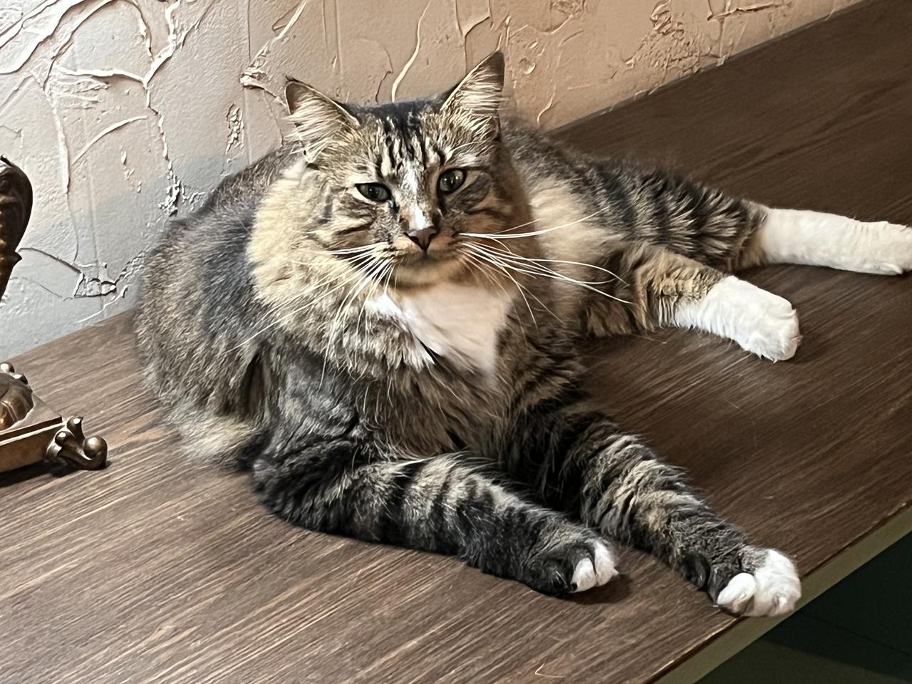 Profile photo 5 of 9