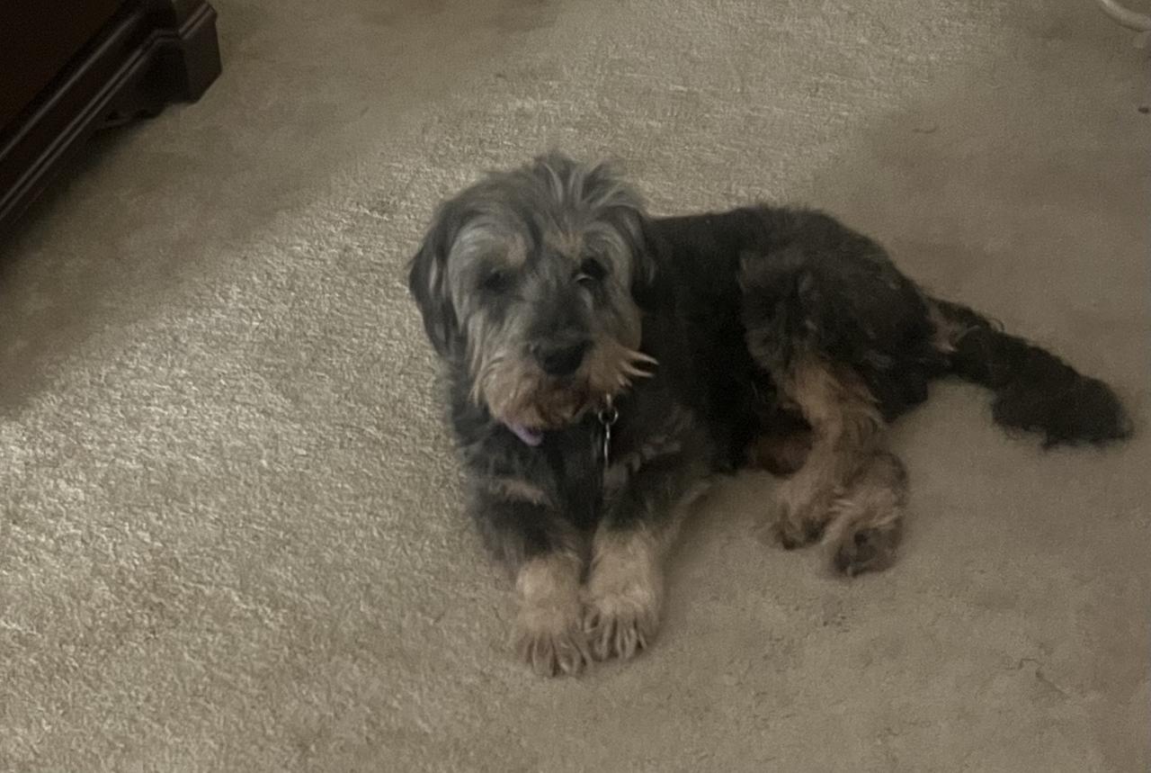 Profile photo 3 of 9