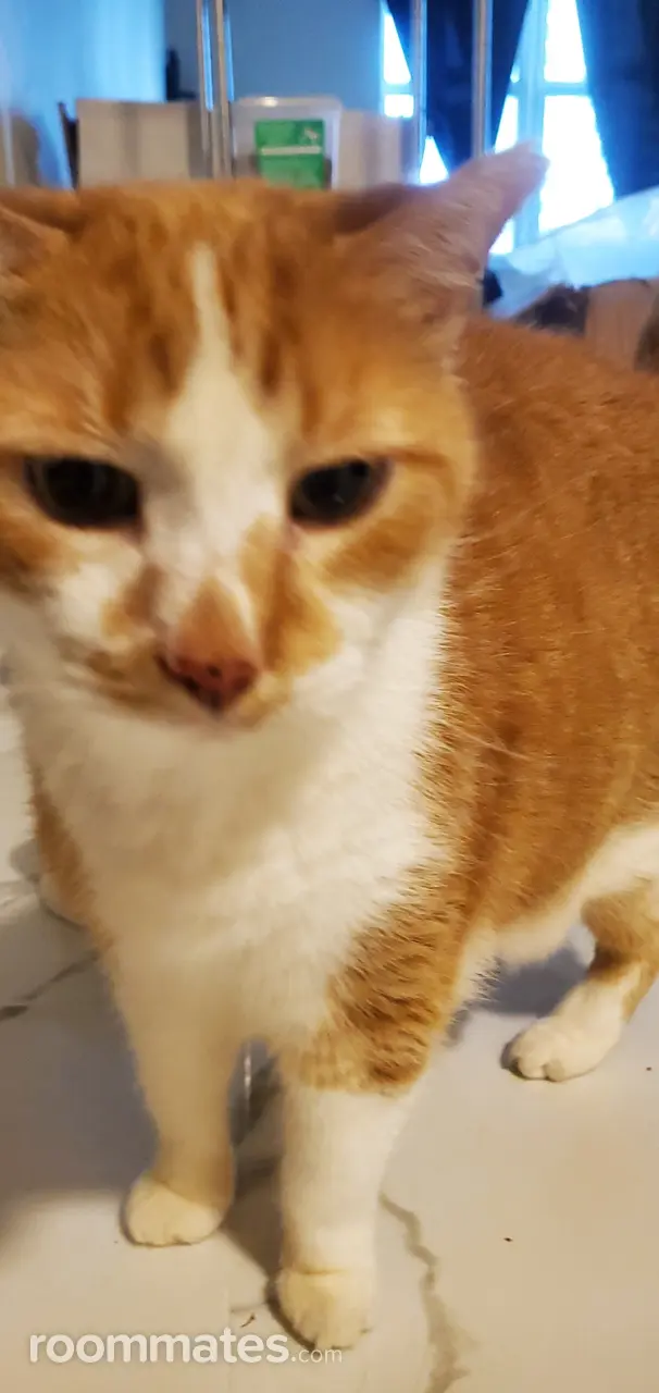 Profile photo 2 of 2