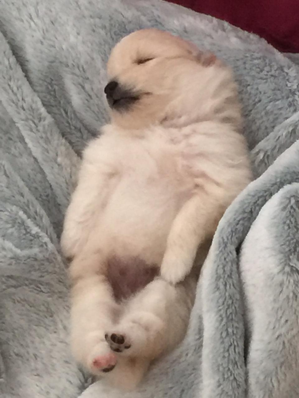 Profile photo 2 of 2