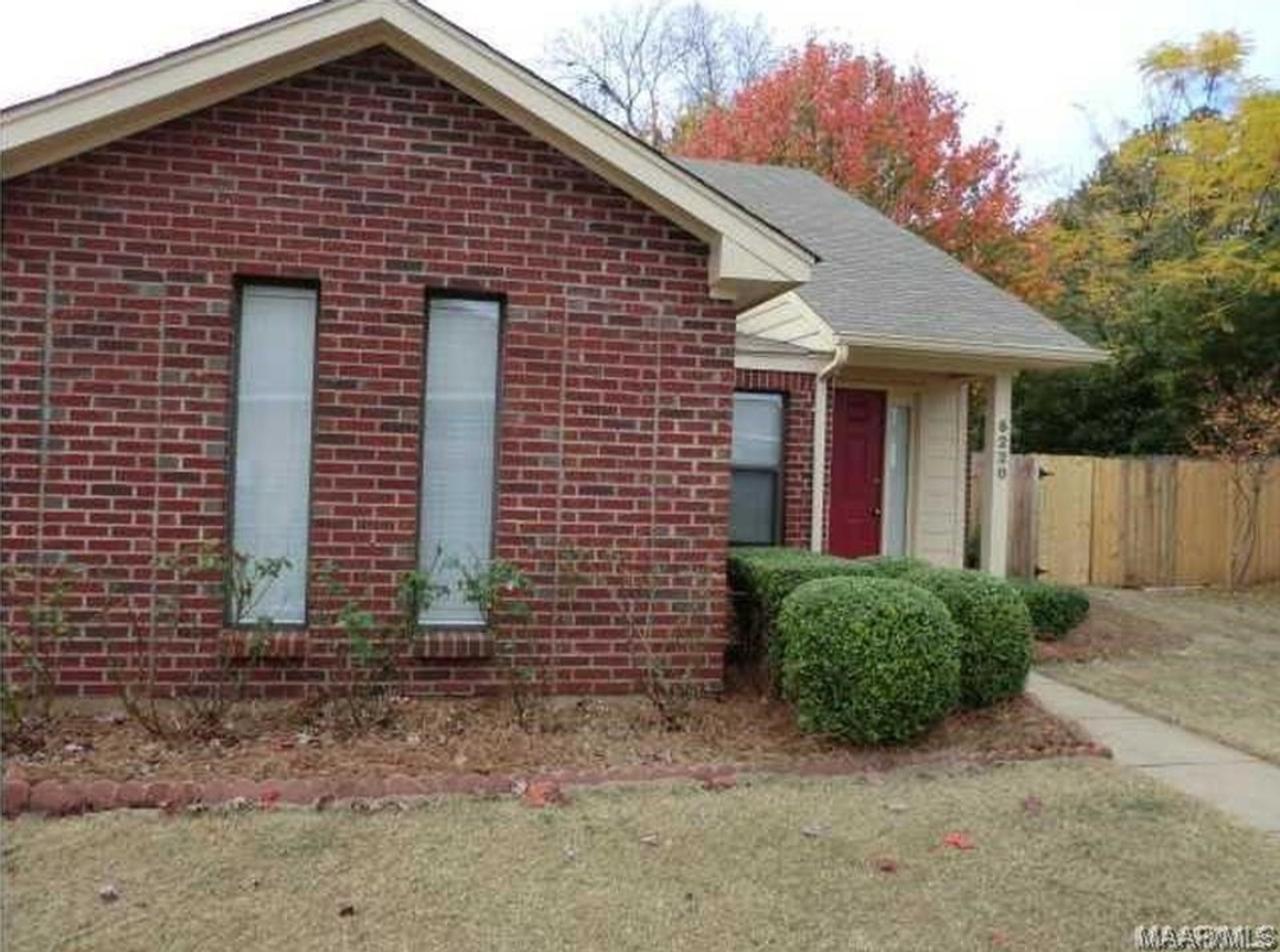 Profile photo 2 of 11