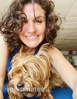 Roommate looking Bowie, MD, $1000