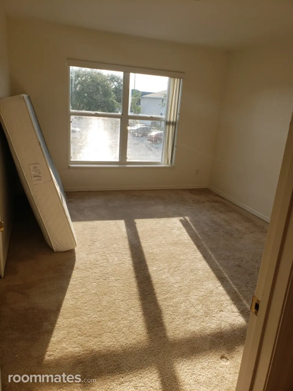 Profile photo 8 of 11