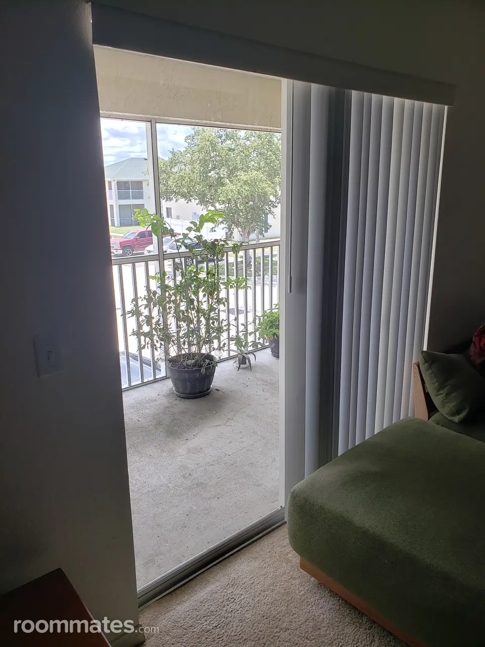 Profile photo 9 of 11