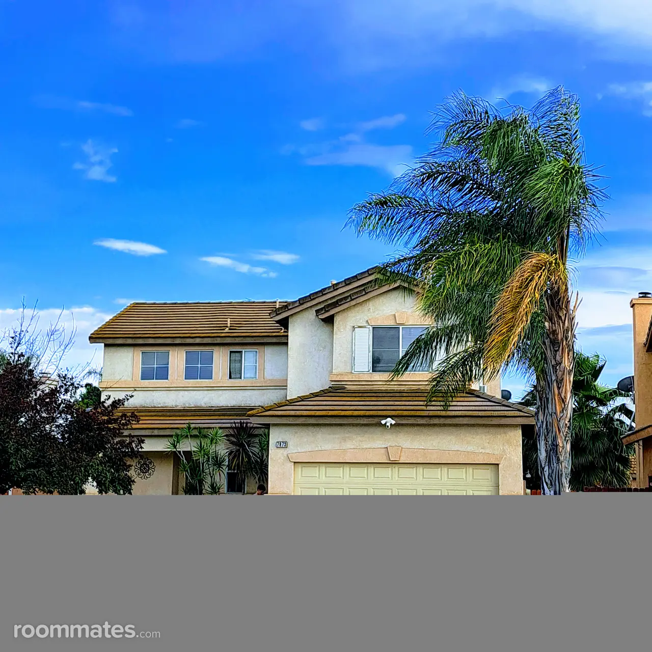 Profile photo 4 of 4