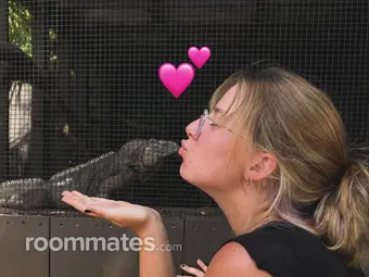 Roommate looking Greenville, SC, $800