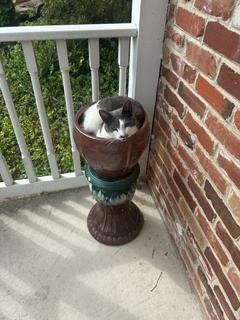 Room for rent in Middletown, Delaware $800, condo