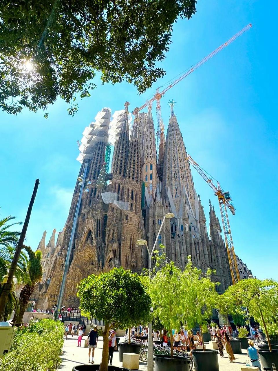 Profile photo 10 of 10