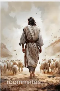 Roommate looking Boise City, ID, $800