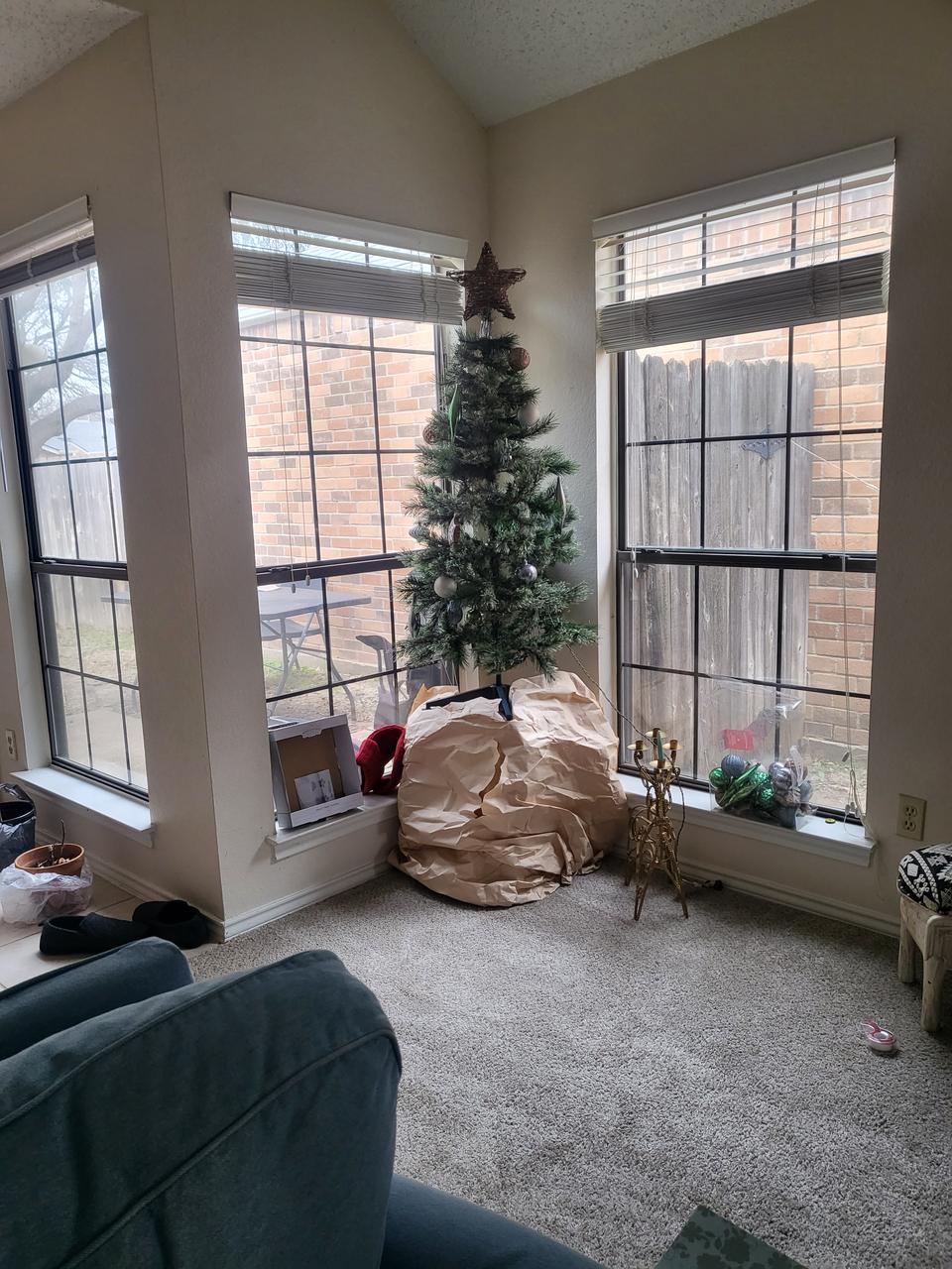 Profile photo 11 of 11