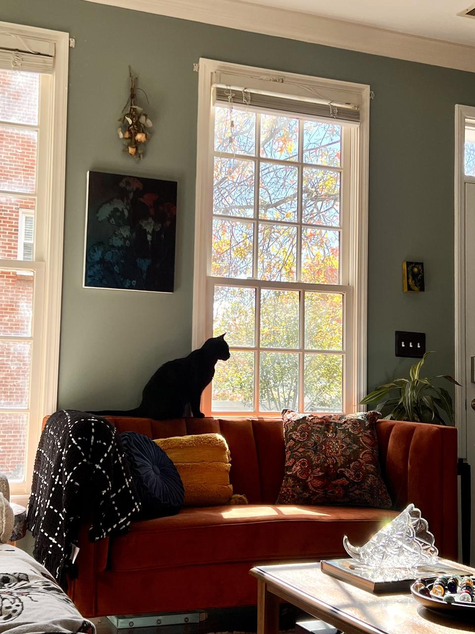 Profile photo 3 of 9