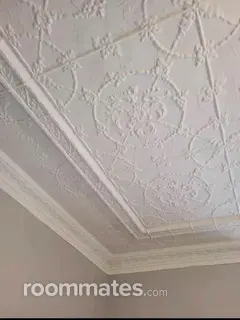 Room for rent in Grand Rapids, MI $675, house