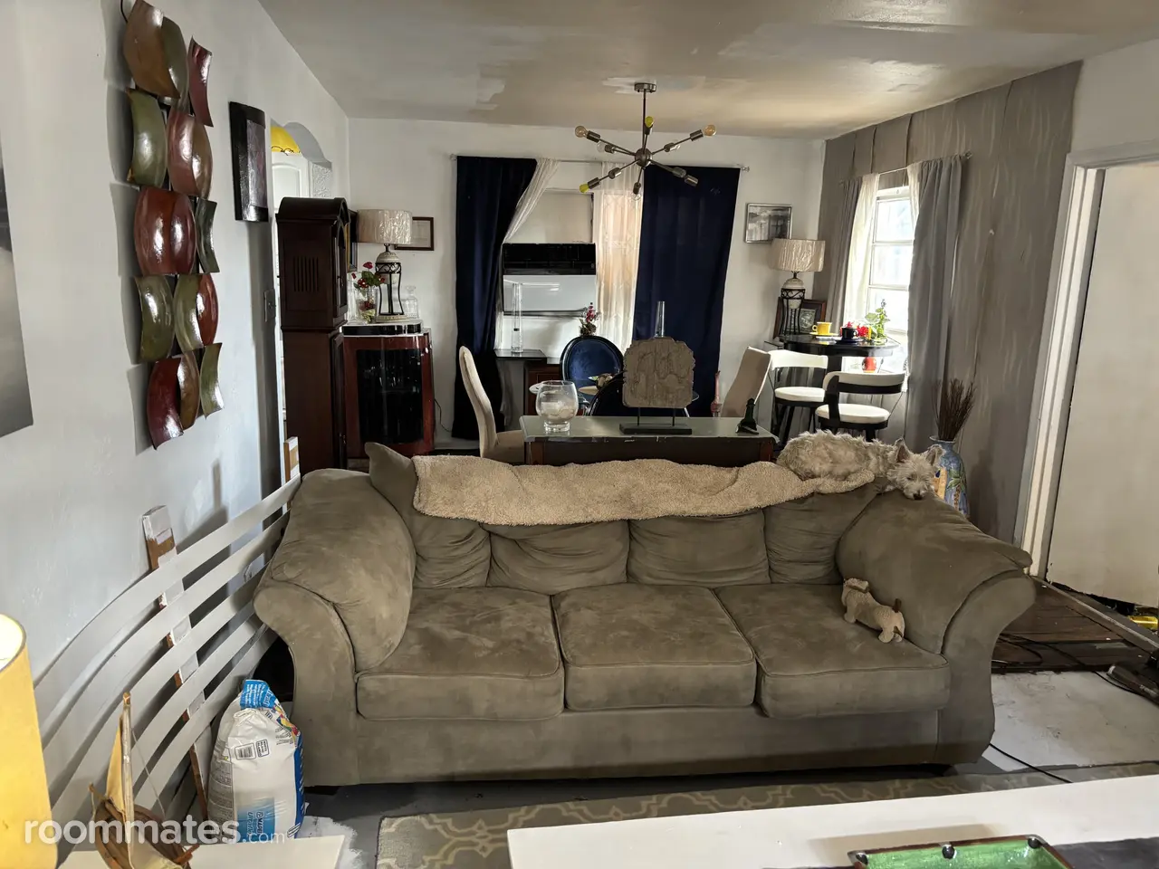 Profile photo 3 of 8